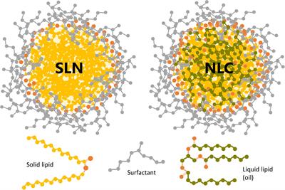 Solid Lipid Nanoparticles for Drug Delivery: Pharmacological and Biopharmaceutical Aspects